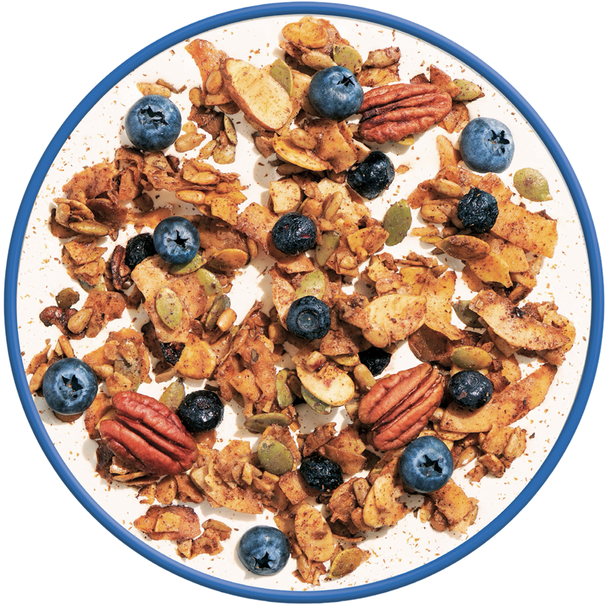 Blueberry Cinnamon NuTrail in a Bowl
